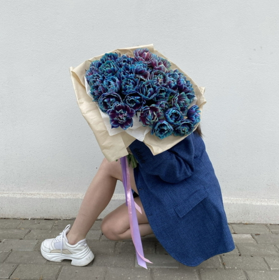 tulipany kosmos