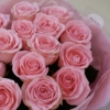 sophia loren roses