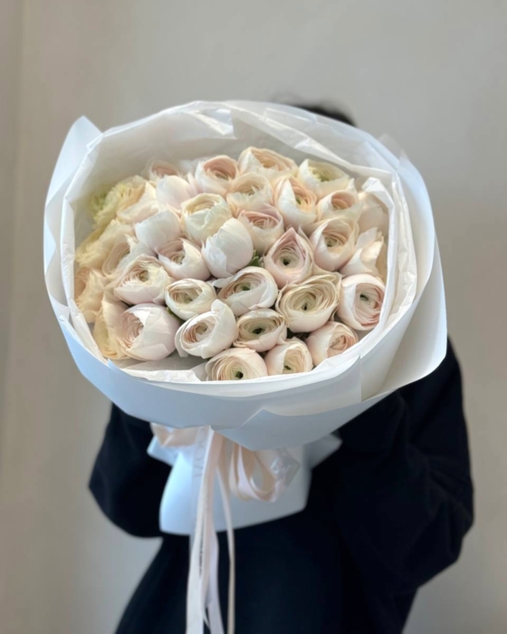 jaskry, ranunculus, hanoi