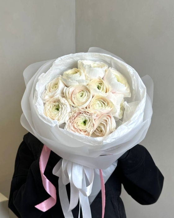 jaskry, ranunculus, hanoi