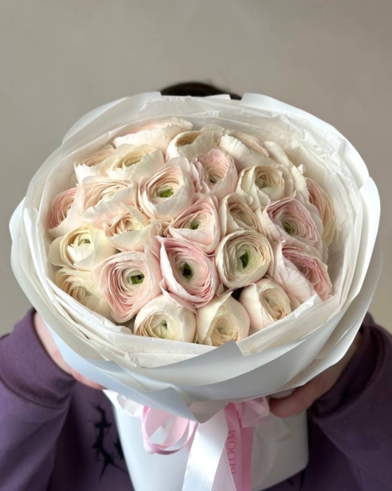 jaskry, ranunculus, hanoi