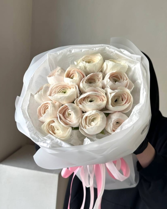 jaskry, ranunculus, hanoi