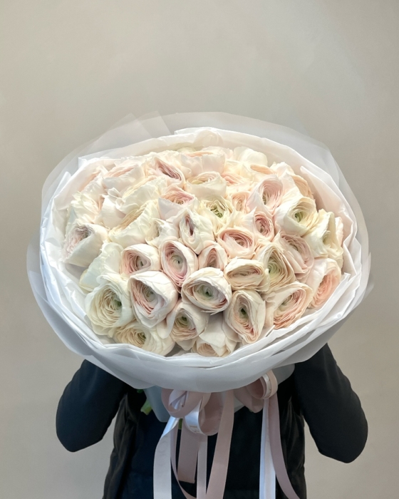 jaskry, ranunculus, hanoi