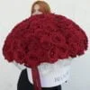 101 róż , 101 czerwonych róż, 101 red roses,101 красная Роза