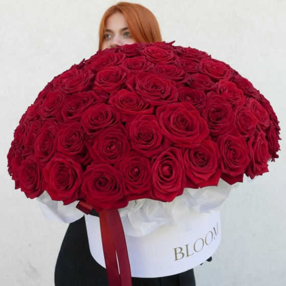 101 róż , 101 czerwonych róż, 101 red roses,101 красная Роза