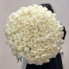 101 biała róża, white roses