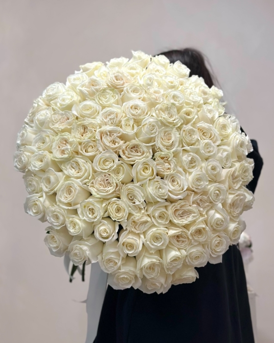 101 biała róża, white roses