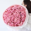 Silwa pink tlo