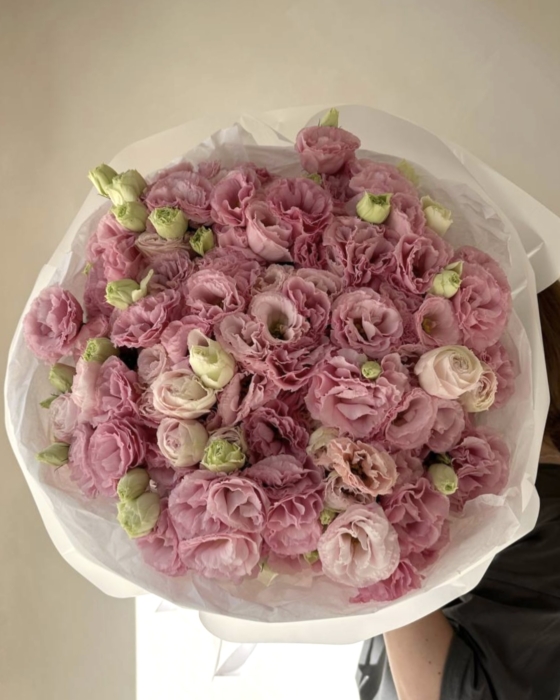 eustoma