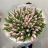 różowe tulipany