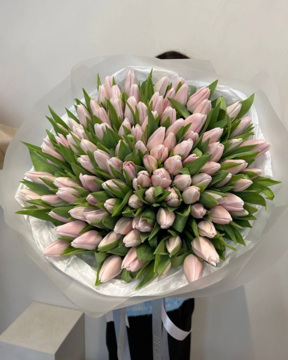 różowe tulipany