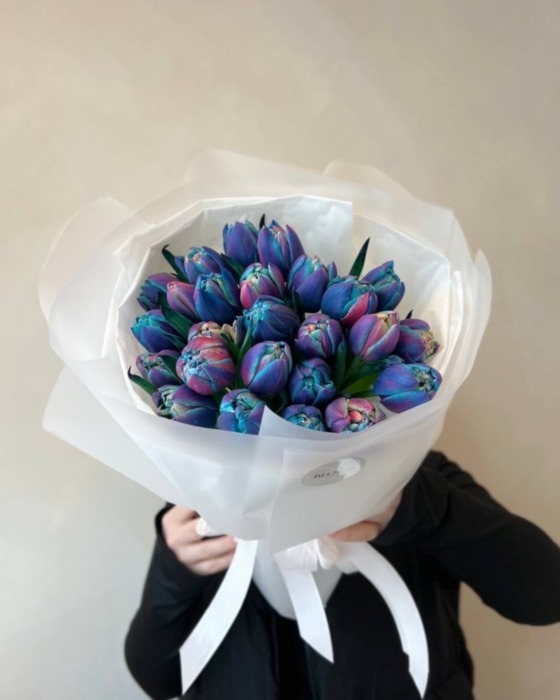 kosmiczne tulipany , niebieskie tulipany