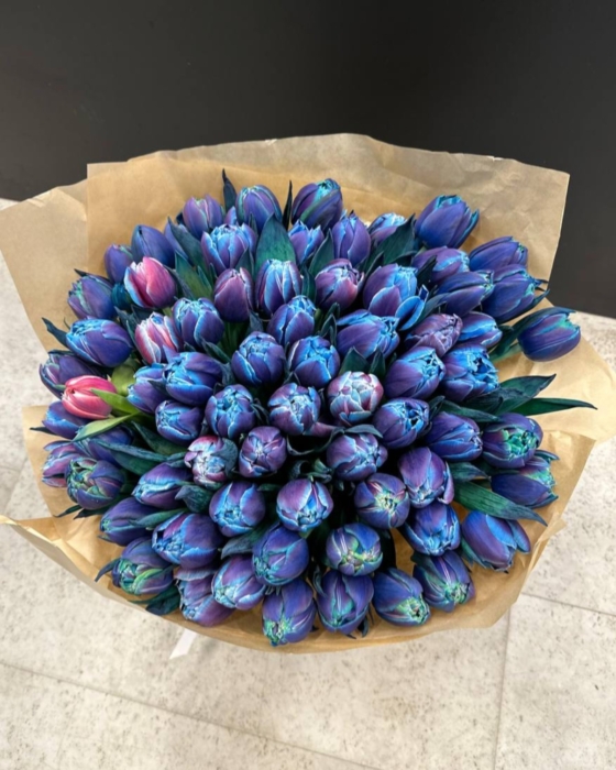 kosmiczne tulipany , niebieskie tulipany