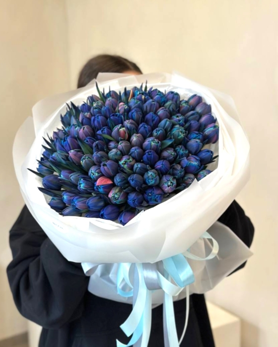 kosmiczne tulipany , niebieskie tulipany