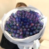 kosmiczne tulipany , niebieskie tulipany