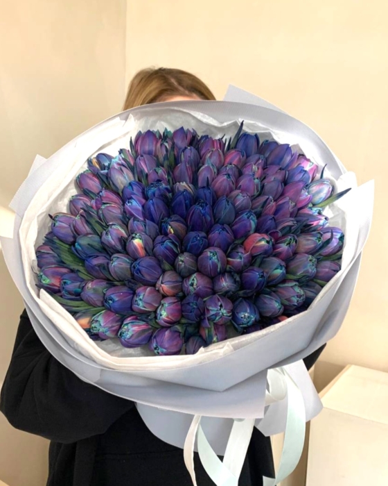 kosmiczne tulipany , niebieskie tulipany