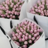 pink tulips