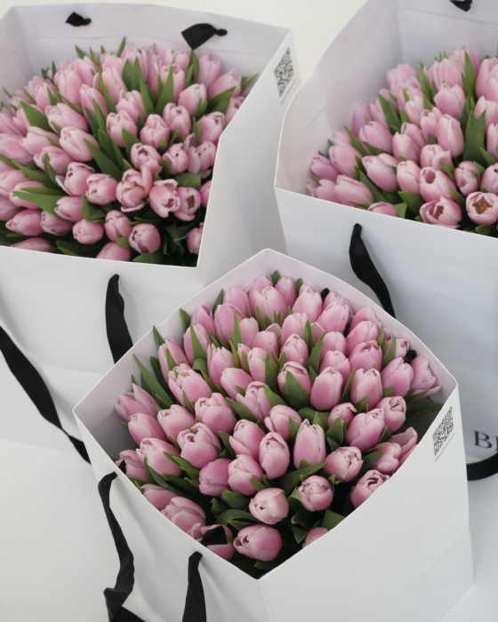 pink tulips