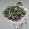 alstromeria