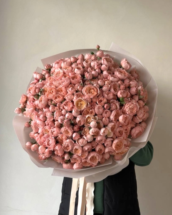 julietta roses