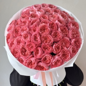 Pink expression tlo