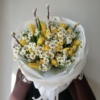 tulipany i bazie small