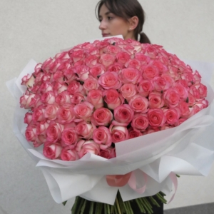 jumilla roses