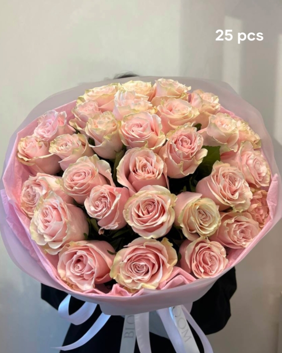 pink mondial roses
