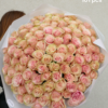 pink mondial roses