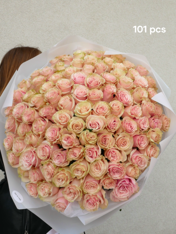 pink mondial roses