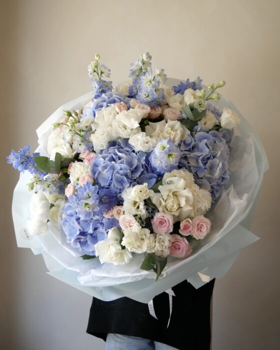 blue air