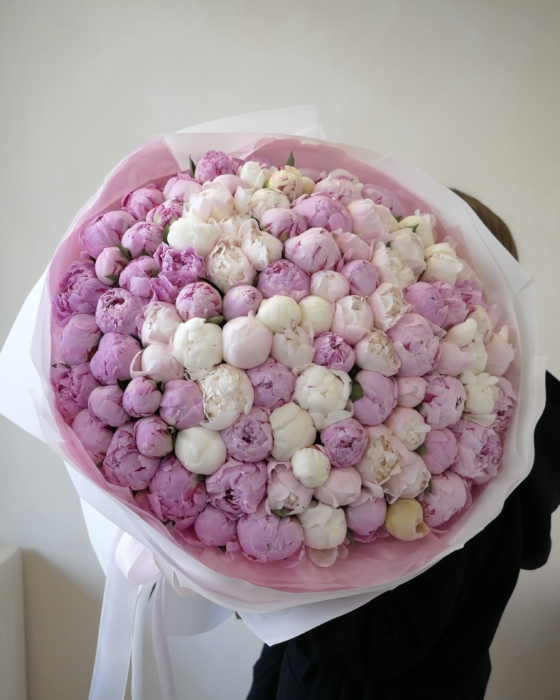 mix piwonii