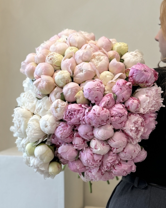 piwonia, peony