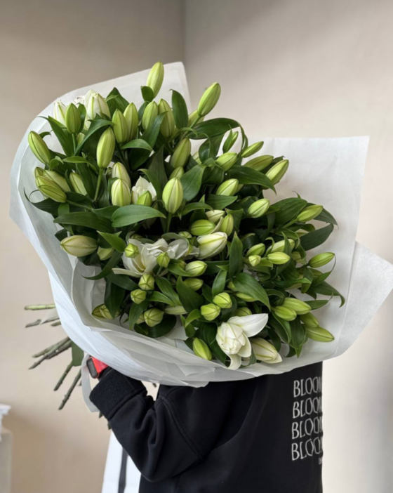 lilija