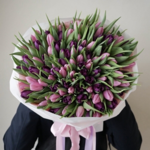 tulipany mix kolorów 101