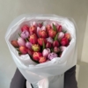 mix tulipanów