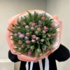 mix tulipanów