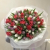 mix tulipanów
