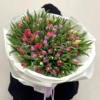 mix tulipanów