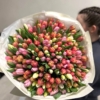 mix tulipanów