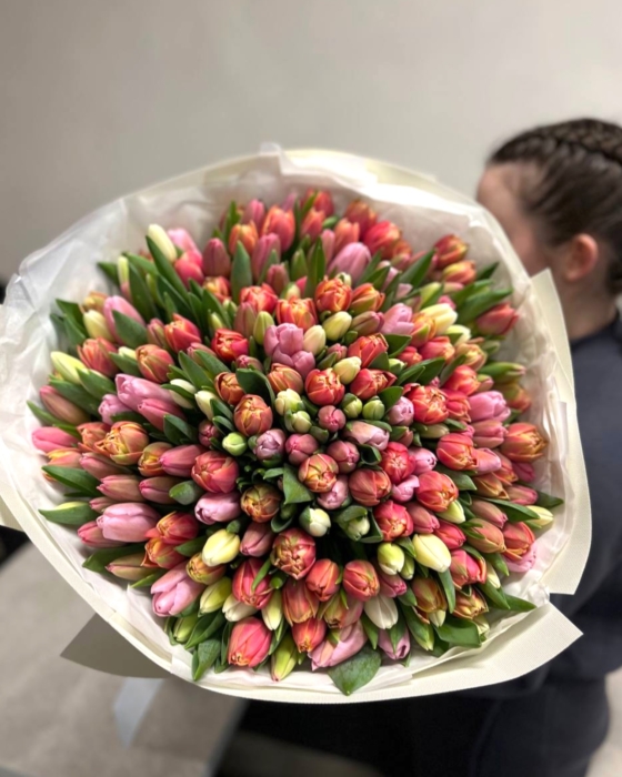 mix tulipanów