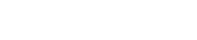 logo bloom