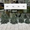 choinka, żywa choinka udekorowana, boże narodzenie, stroik świąteczny, Christmas, decor, prezent świąteczny