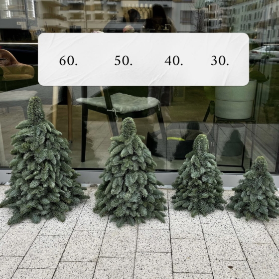 choinka, żywa choinka udekorowana, boże narodzenie, stroik świąteczny, Christmas, decor, prezent świąteczny