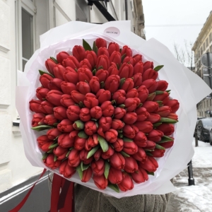101 bukiet czerwonych tulipanów
