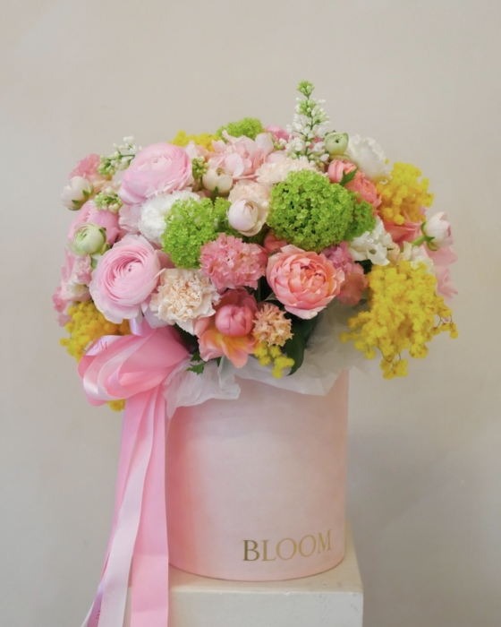 energy of sun flowerbox