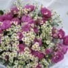 sprey roses I rumianek