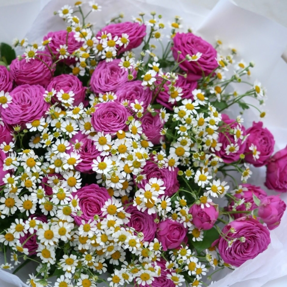 sprey roses I rumianek