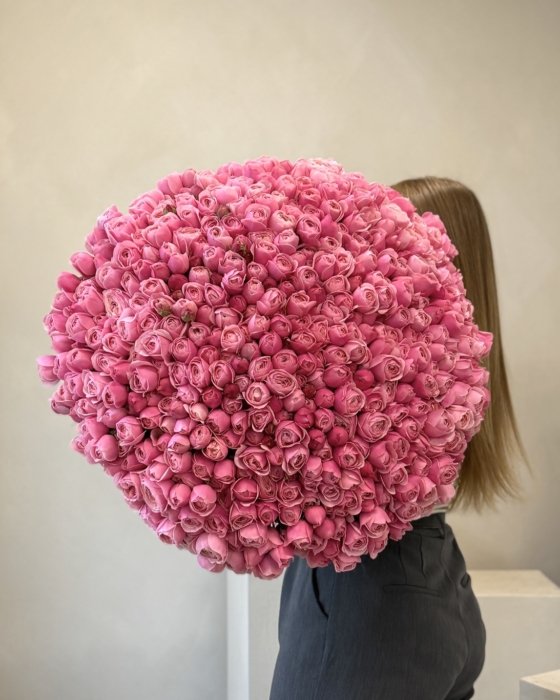 silva pink roses