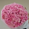 silva pink roses